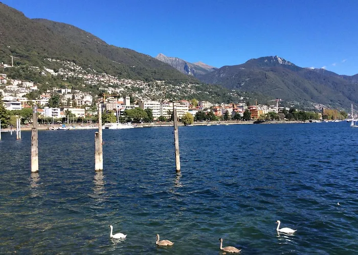 Sibylle By Fewotessin